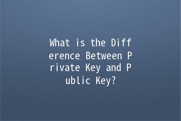 What is the Difference Between Private Key and Public Key? 🔑🔒