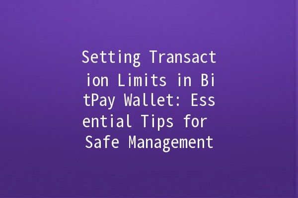 Setting Transaction Limits in BitPay Wallet: Essential Tips for Safe Management 💰🔒
